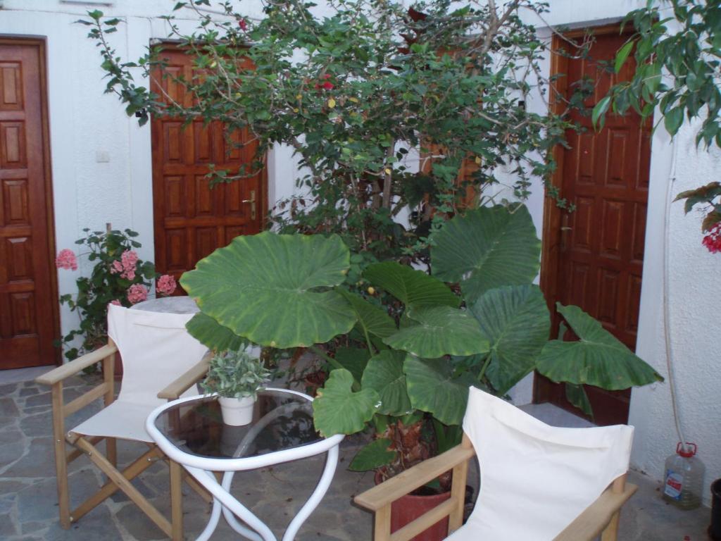 Pantazis Studios Aegina Habitación foto