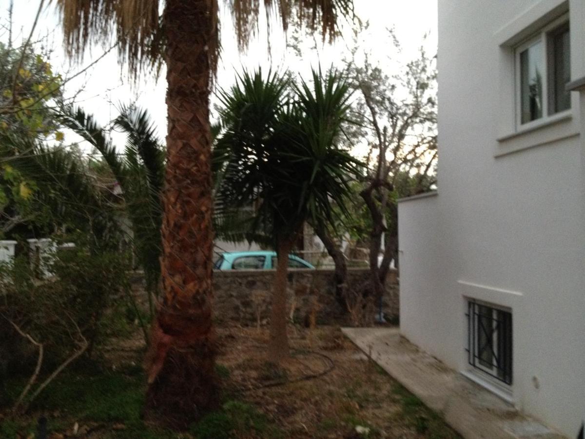 Pantazis Studios Aegina Habitación foto